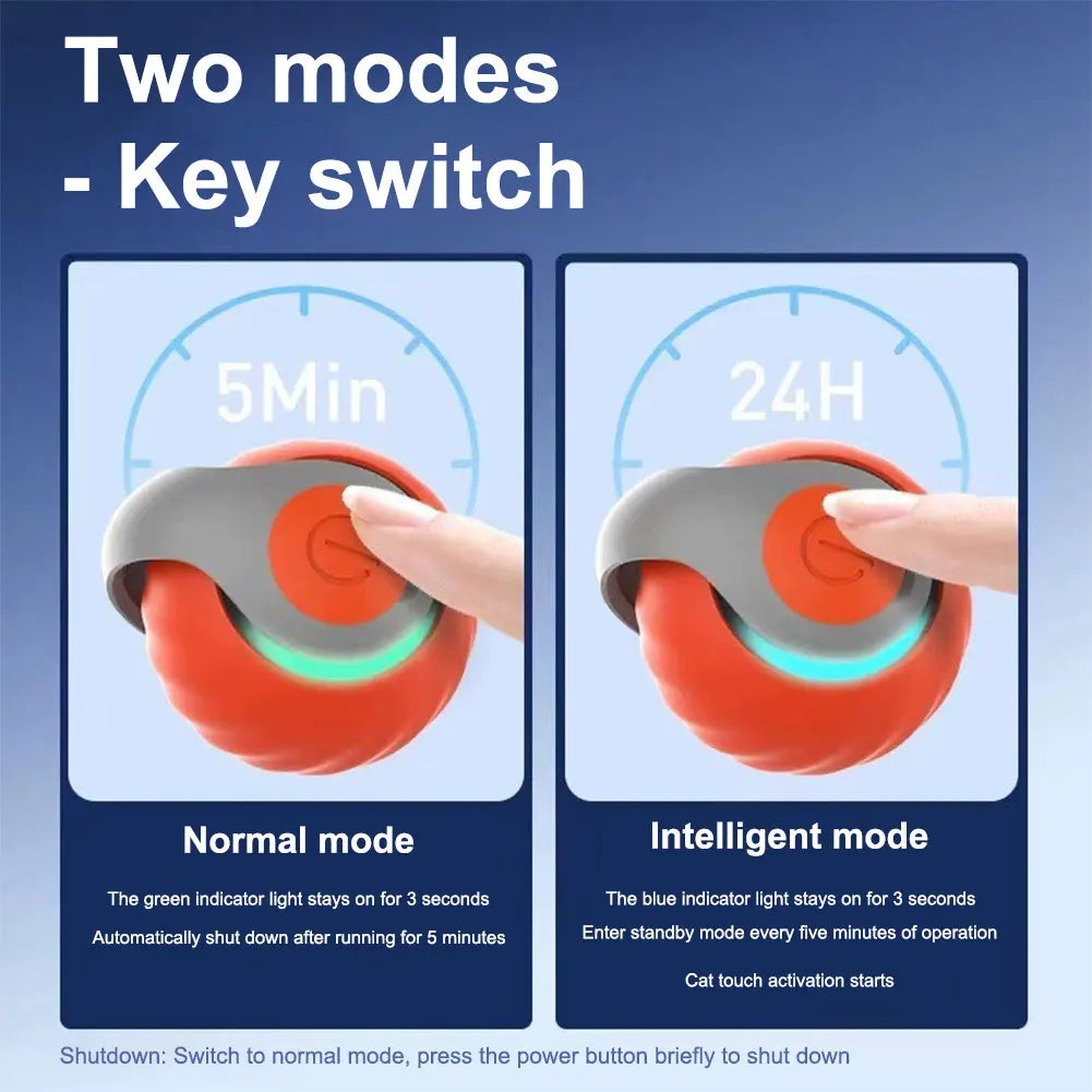 Speedy Tail 2.0 - Smart Automatisk Husdjursleksak