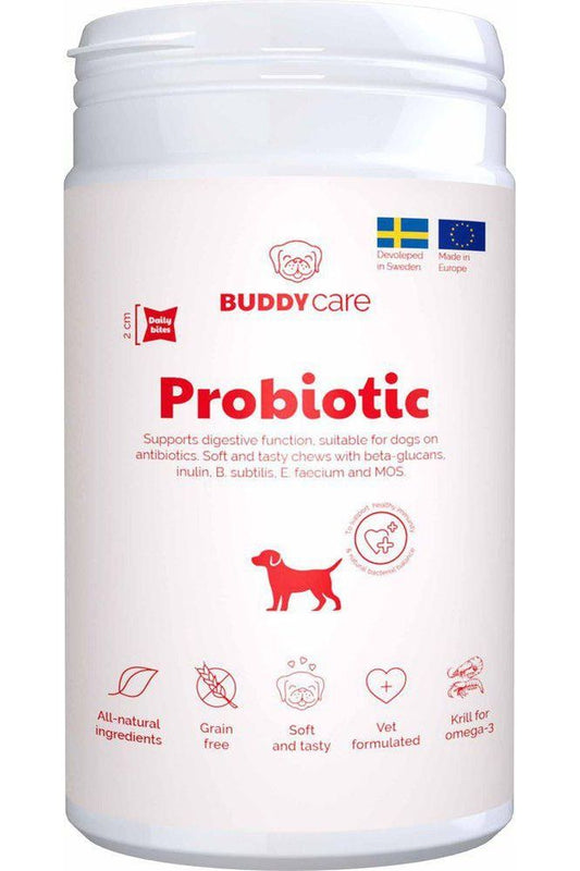 Buddycare Probiotic