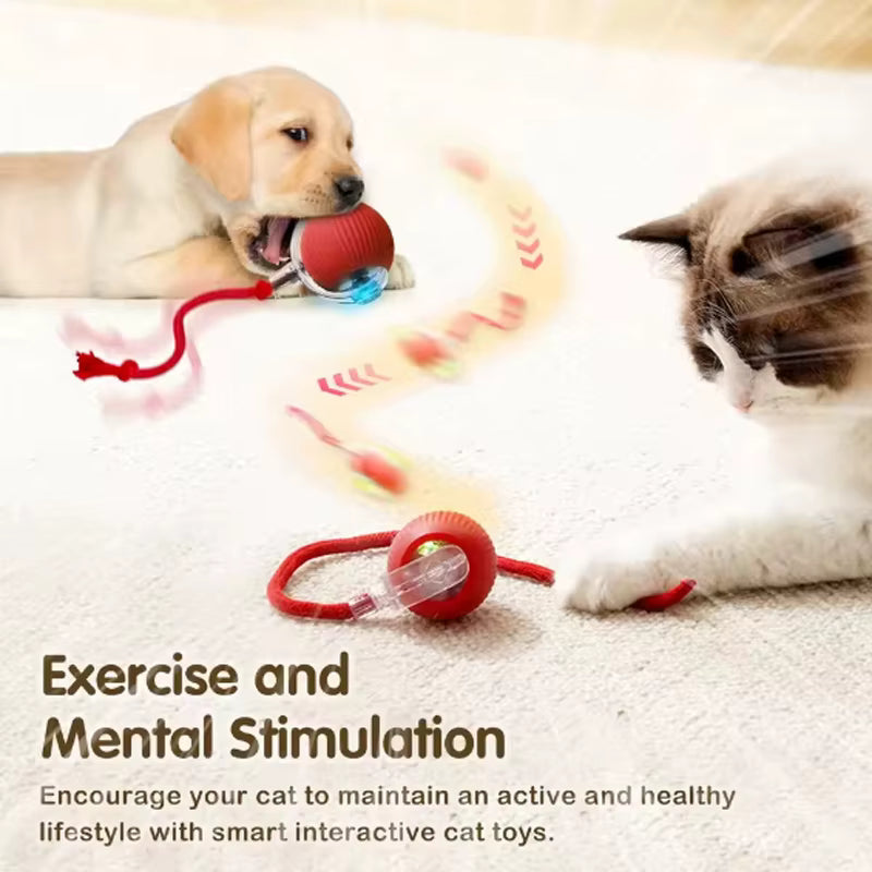 Smart SpinBall för Katter och Hundar — Rörlig Interaktiv LED-boll