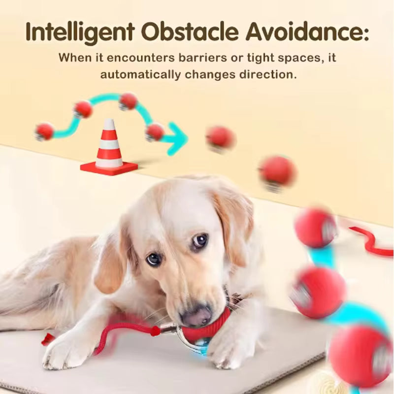 Smart SpinBall för Katter och Hundar — Rörlig Interaktiv LED-boll